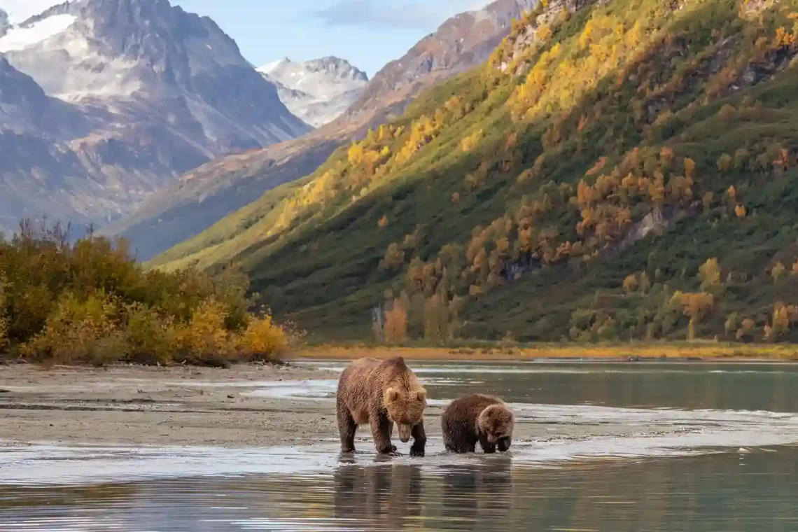 Exploring Alaska’s Lakes and Rivers